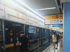 -大龙山(地铁站)