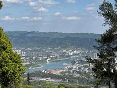 -缙云山景区