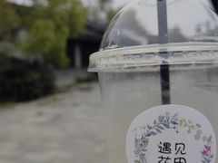 -同里国家湿地公园