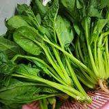 🔥减脂必备🔥凉拌菠菜❗️高纤维补铁低脂肪