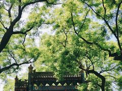 -北京国子监胡同