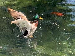 -水磨沟公园