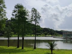 -东莞植物园