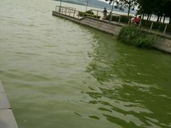 -蠡湖大桥公园