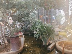 -海韵人家.海景花园经典云南菜(双廊店)