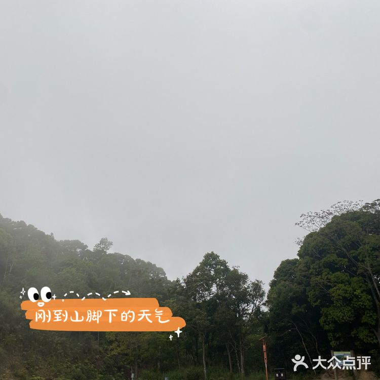 海南乐东看云海☁️日出🌅❕山顶露营攻略