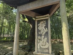 -兰亭风景区