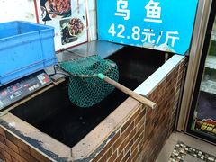 -重庆乌鱼庄·龙滋鲜(青羊大道店)