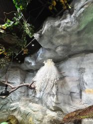 -Zoolung Zoolung动物主题公园(海信广场店)