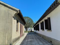 -上海滨江森林公园