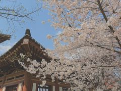-西安青龙寺遗址景区