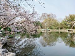 -苏堤停车场