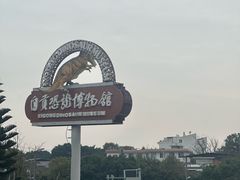 -自贡恐龙博物馆