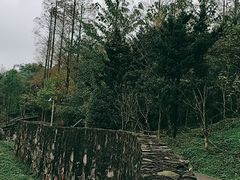 -都江堰中华大熊猫苑