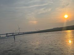 -南汇新城海滩