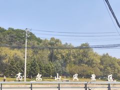 -高尔山公园