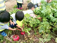 -意大利农场度假村