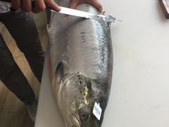 -吉之仙•中国制造•出口级食材日料店(领事馆总店)
