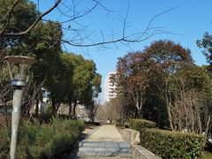 -南翔镇银翔湖公园