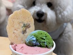 -FIDEE CHOCOLATE 花地