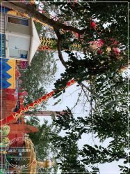-白沙门公园游乐场