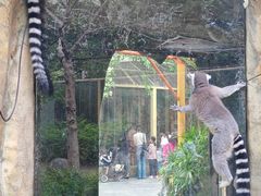 -灵玲国际马戏城