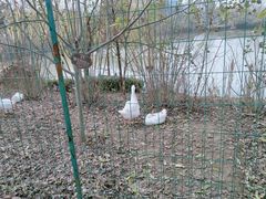 -南京中医药大学(仙林校区)