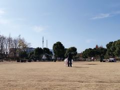 -田园东方蜜桃村的田野营地