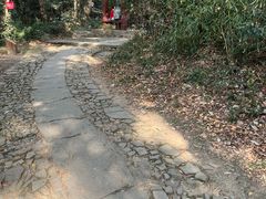-西湖风景区十里琅珰-五云山