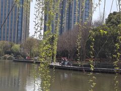 -南翔镇银翔湖公园