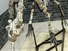 -游龙石文化科普馆