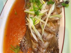 -巧克力渔家.小船海鲜胶东菜(万平口店)