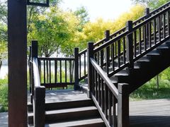 -天津东丽湖风景区