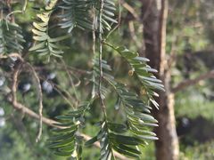 -广州神农草堂中医药博物馆