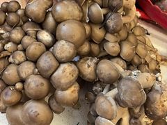 -瑞丰园庭院餐厅·白族传统家常菜