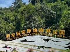 -西双版纳原始森林公园