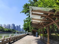 -光明港公园