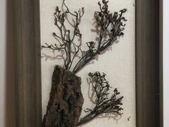 -参差咖啡(水果湖公园店)