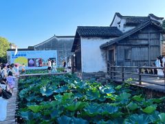 -乌镇西栅景区