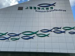 -上海海洋水族馆