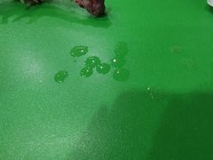 -大益烤鸡