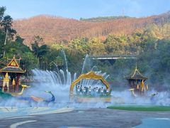 -西双版纳原始森林公园