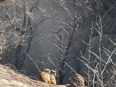 -崂山巨峰游览区