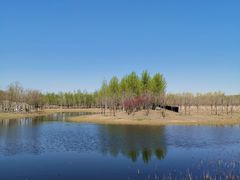 -东郊湿地公园