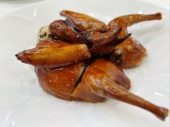 -渔意楼·驰名沙田乳鸽(五羊店)
