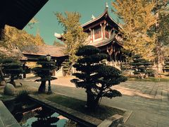 -乐山乌木文化博览苑