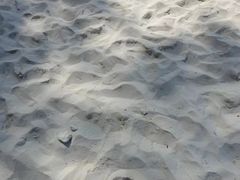 -珊瑚岛