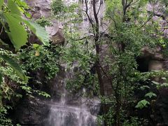 -天目湖山水园