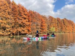 -上海海湾国家森林公园