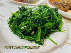 -煲来饱去冷水鱼